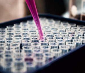 Pearl Health Profile